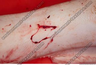 Photo Textures of RAW Pork Meat